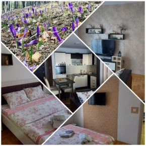 Apartman VUKAN petica